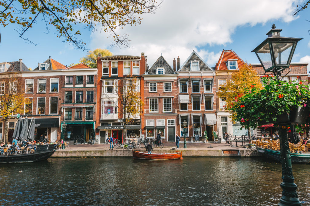 Wolky groningen 2025