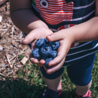 blueberries