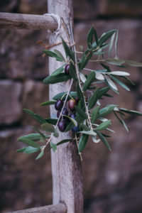 food photography and styling workshop in Croatia