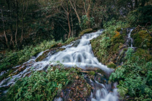 Una National park