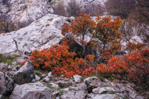 Una National park