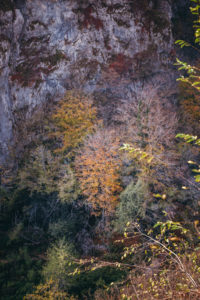 Plitvice lakes