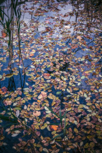 Plitvice lakes