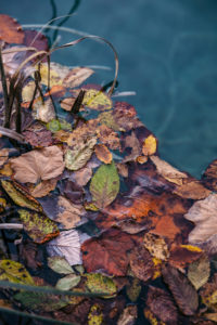 Plitvice lakes