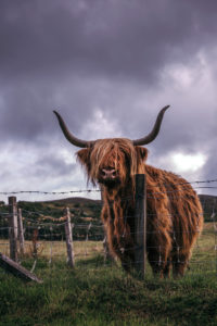 Scottish Highlands