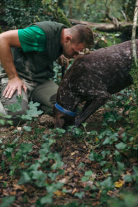 truffle hunting, Croatia