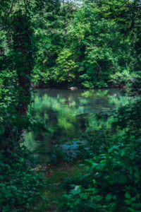 Slunjčica river