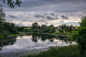 Lonjsko polje