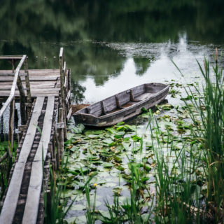Lonjsko polje
