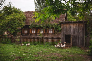 Lonjsko polje