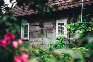 Lonjsko polje