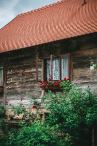 Lonjsko polje