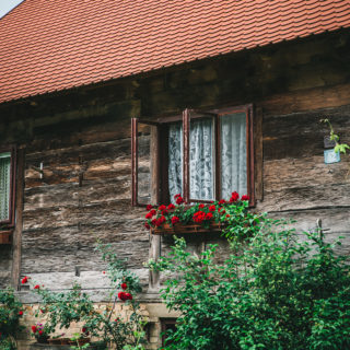 Lonjsko polje