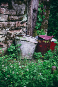 Lonjsko polje