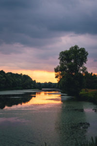 Lonjsko polje