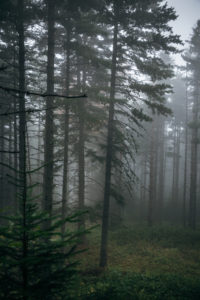 Pelister National Park, Macedonia