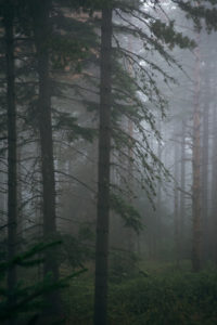 Pelister National Park, Macedonia