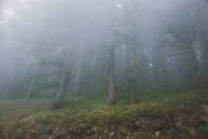 Pelister National Park, Macedonia