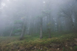 Pelister National Park, Macedonia