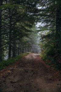 Pelister National Park, Macedonia