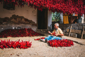 Donja Lokosnica village, Serbia