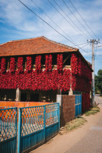 Donja Lokosnica village, Serbia