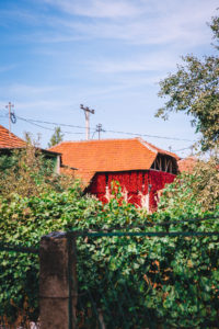 Donja Lokosnica village, Serbia
