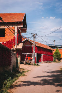 Donja Lokosnica village, Serbia