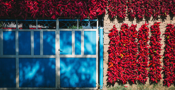 Donja Lokosnica, Serbia’s paprika village