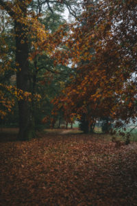 Maksimir Park, Zagreb