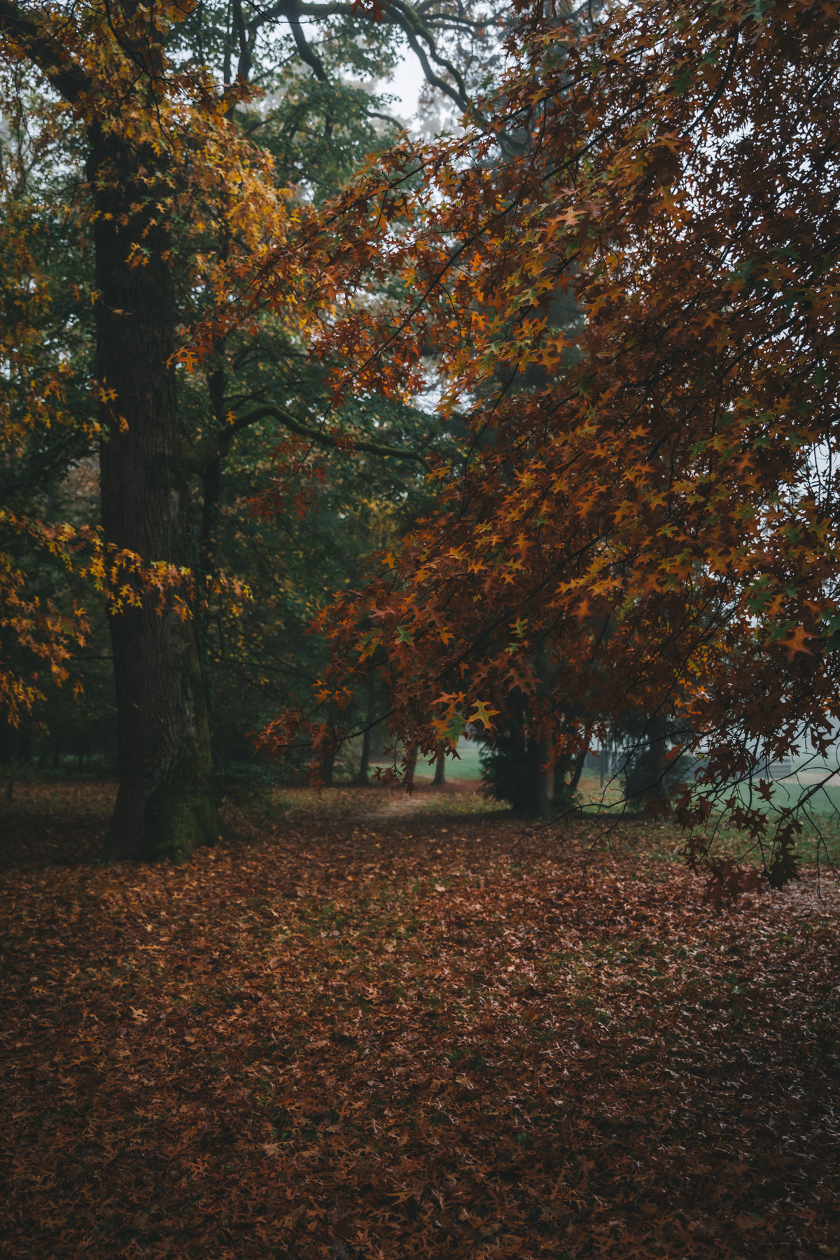 Autumn in Maksimir Park, Zagreb