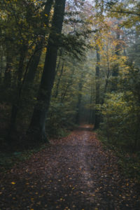 Maksimir Park, Zagreb