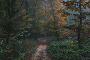 Maksimir Park, Zagreb