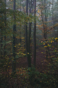 Maksimir Park, Zagreb