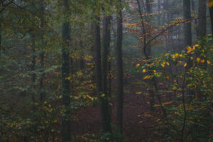 Maksimir Park, Zagreb