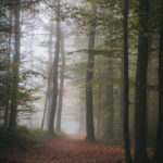 Autumn in Maksimir Park, Zagreb