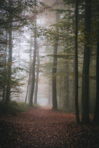 Autumn in Maksimir Park, Zagreb