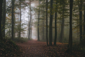 Maksimir Park, Zagreb