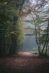 Maksimir Park, Zagreb