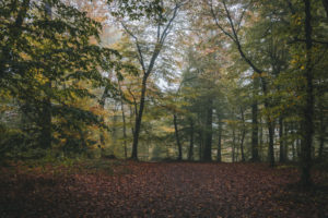 Maksimir Park, Zagreb