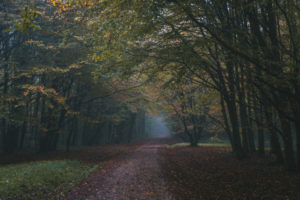 Maksimir Park, Zagreb