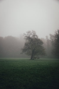 Maksimir Park, Zagreb