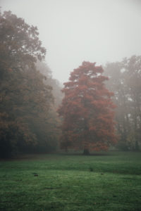 Maksimir Park, Zagreb