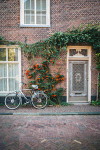 Leiden detail, The Netherlands