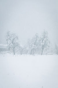 snow in Slovenia