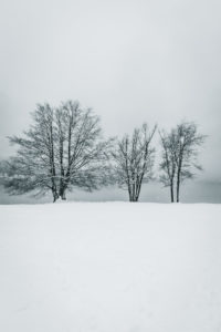 Lake Bohinj