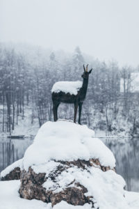 Lake Bohinj