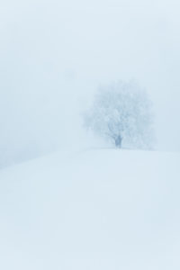 snow