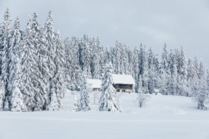 cottage in snow