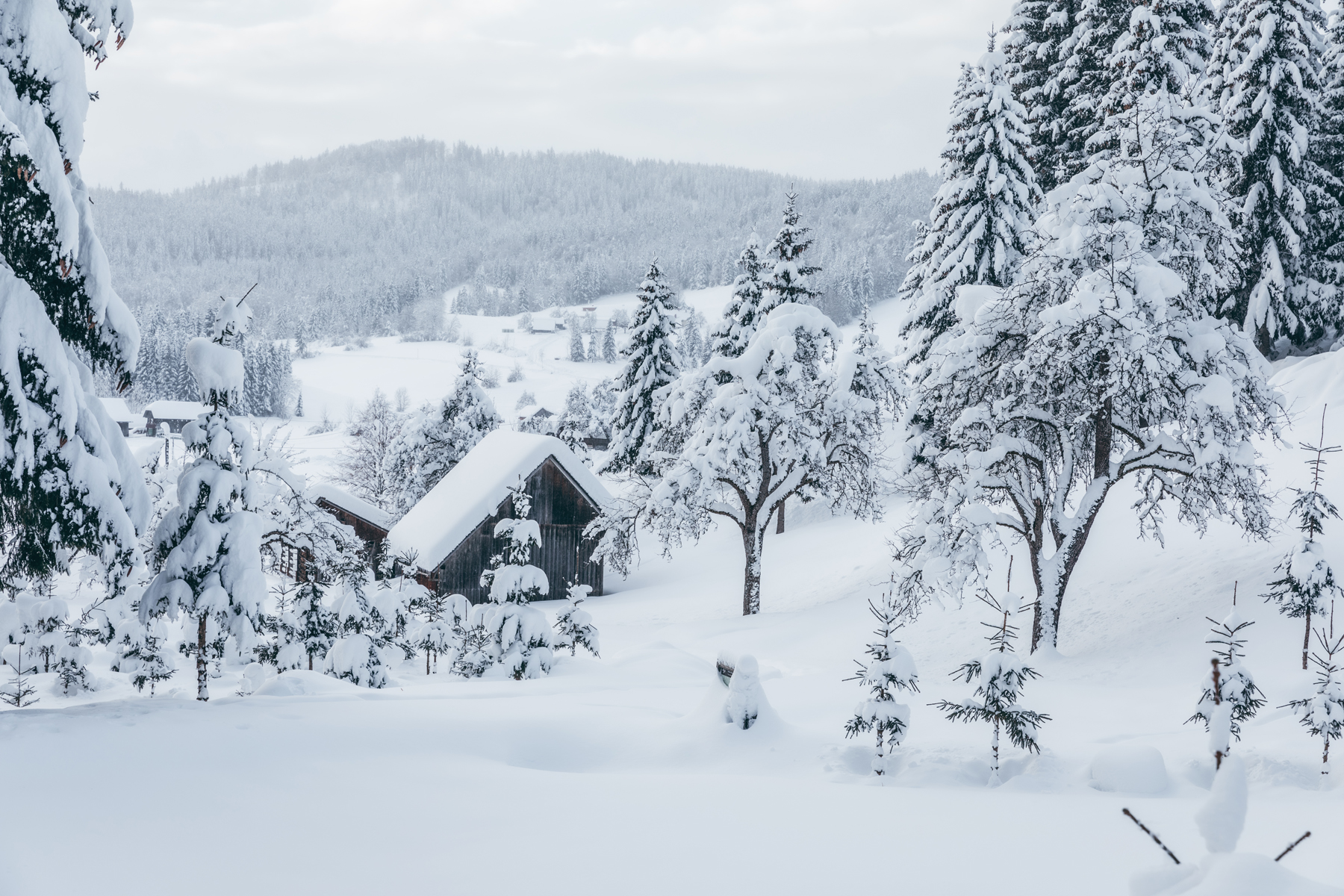 winter in Slovenia